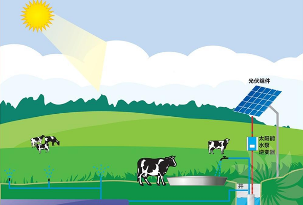 出口類光伏水泵系統應用